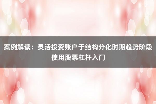 案例解读：灵活投资账户于结构分化时期趋势阶段使用股票杠杆入门