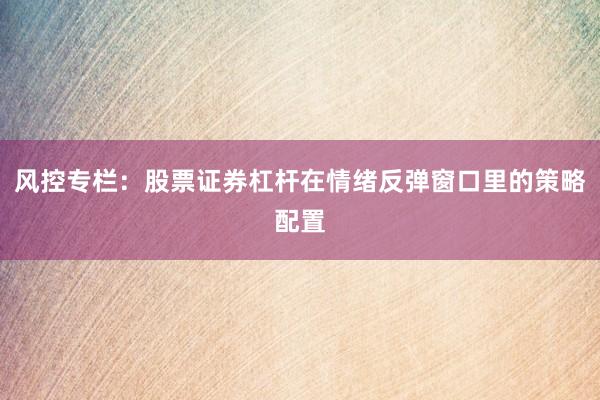 风控专栏：股票证券杠杆在情绪反弹窗口里的策略配置