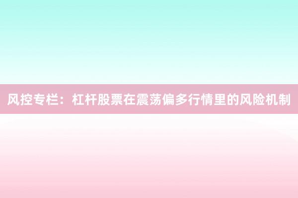风控专栏：杠杆股票在震荡偏多行情里的风险机制