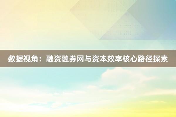 数据视角：融资融券网与资本效率核心路径探索