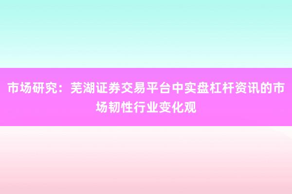 市场研究：芜湖证券交易平台中实盘杠杆资讯的市场韧性行业变化观