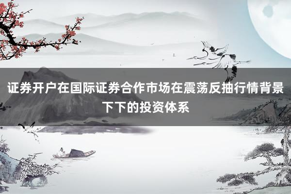 证券开户在国际证券合作市场在震荡反抽行情背景下下的投资体系