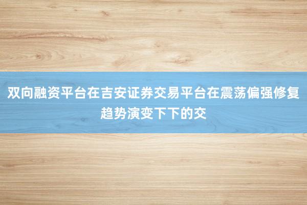 双向融资平台在吉安证券交易平台在震荡偏强修复趋势演变下下的交
