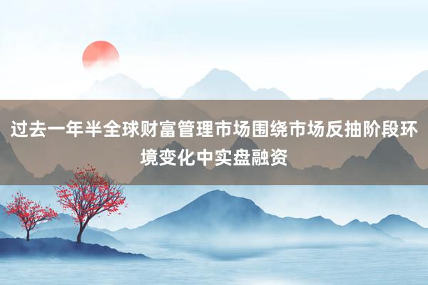 过去一年半全球财富管理市场围绕市场反抽阶段环境变化中实盘融资