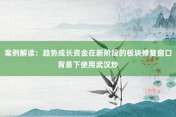 案例解读：趋势成长资金在新阶段的板块修复窗口背景下使用武汉炒