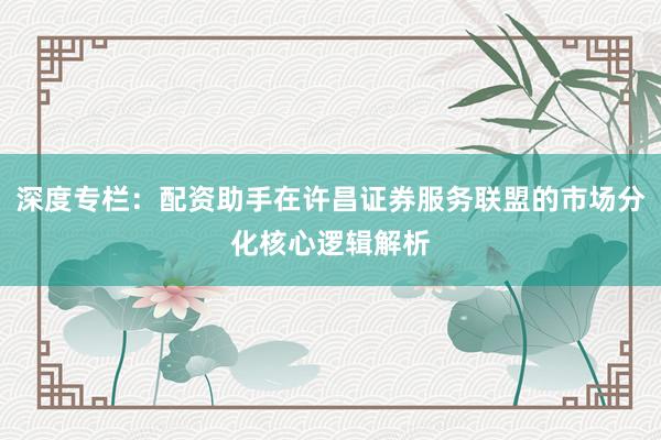 深度专栏：配资助手在许昌证券服务联盟的市场分化核心逻辑解析
