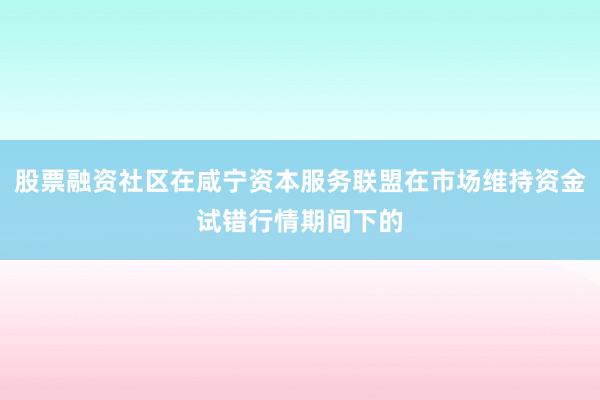 股票融资社区在咸宁资本服务联盟在市场维持资金试错行情期间下的