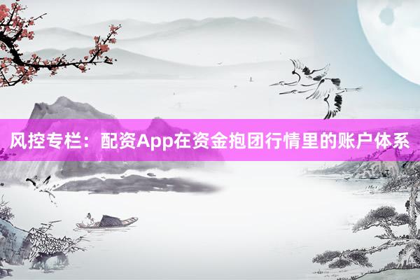 风控专栏：配资App在资金抱团行情里的账户体系