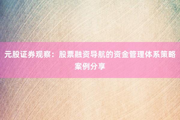 元股证券观察：股票融资导航的资金管理体系策略案例分享