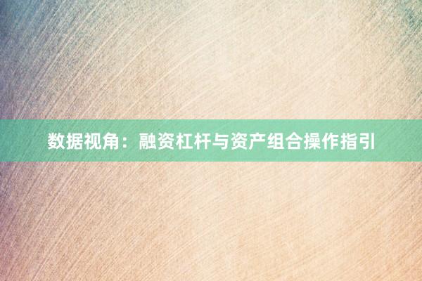 数据视角：融资杠杆与资产组合操作指引