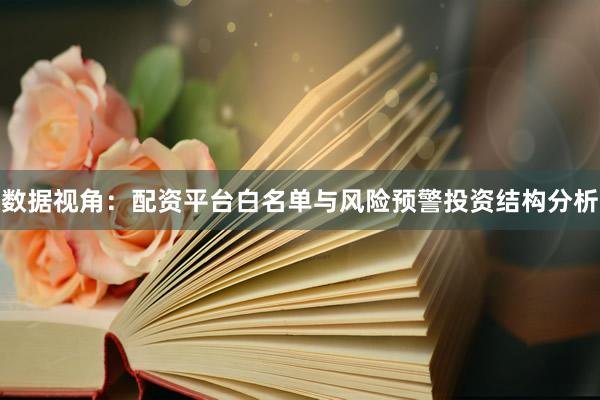 数据视角：配资平台白名单与风险预警投资结构分析