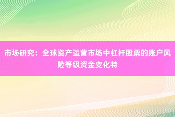 市场研究：全球资产运营市场中杠杆股票的账户风险等级资金变化特