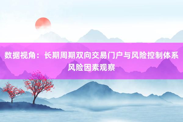 数据视角：长期周期双向交易门户与风险控制体系风险因素观察