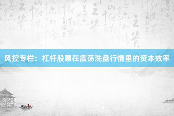 风控专栏：杠杆股票在震荡洗盘行情里的资本效率