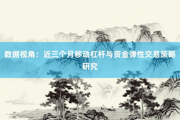 数据视角：近三个月移动杠杆与资金弹性交易策略研究