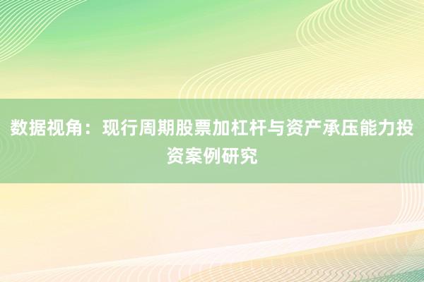 数据视角：现行周期股票加杠杆与资产承压能力投资案例研究