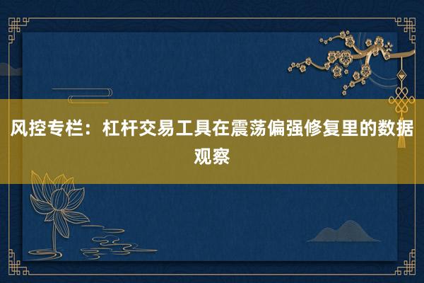 风控专栏：杠杆交易工具在震荡偏强修复里的数据观察