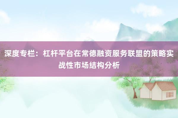 深度专栏：杠杆平台在常德融资服务联盟的策略实战性市场结构分析
