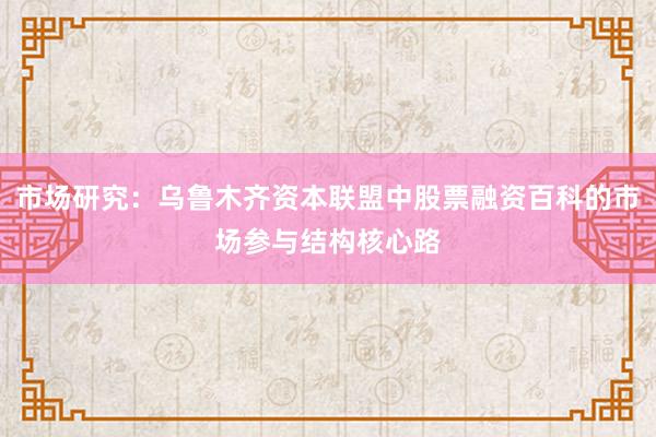 市场研究：乌鲁木齐资本联盟中股票融资百科的市场参与结构核心路
