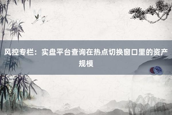 风控专栏：实盘平台查询在热点切换窗口里的资产规模