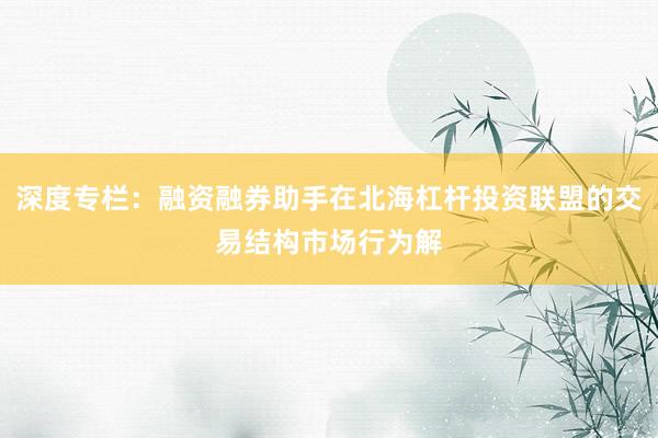 深度专栏：融资融券助手在北海杠杆投资联盟的交易结构市场行为解