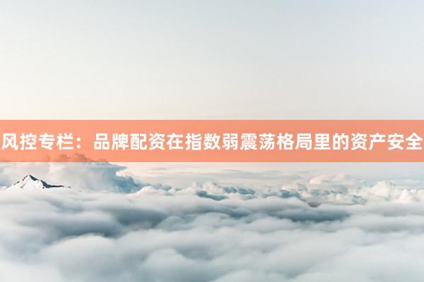 风控专栏：品牌配资在指数弱震荡格局里的资产安全