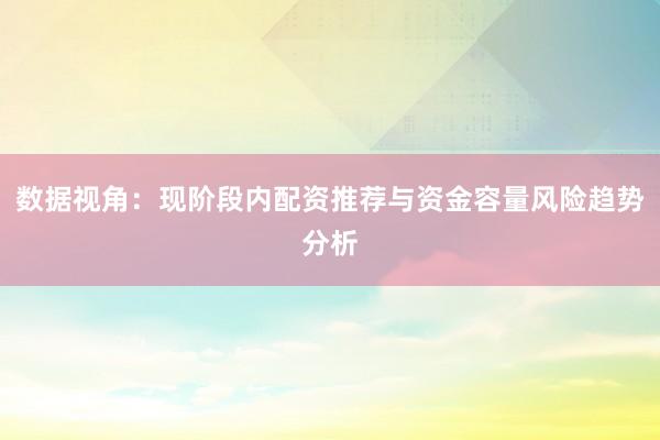 数据视角：现阶段内配资推荐与资金容量风险趋势分析