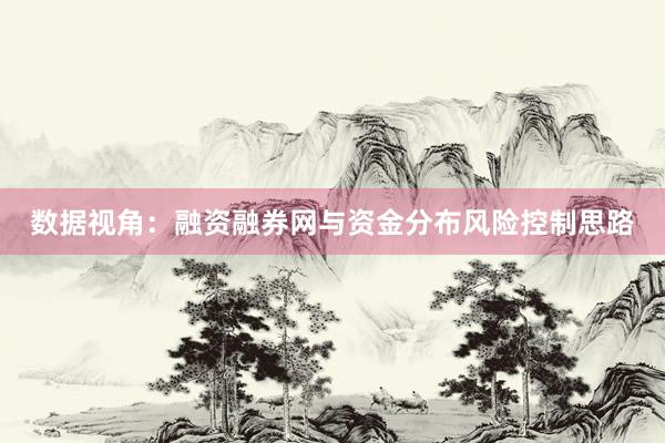 数据视角：融资融券网与资金分布风险控制思路