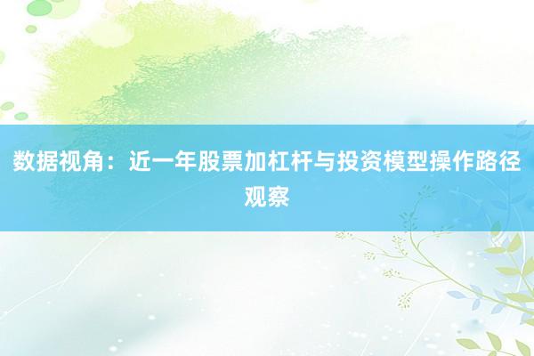 数据视角:近一年股票加杠杆与投资模型操作路径观察