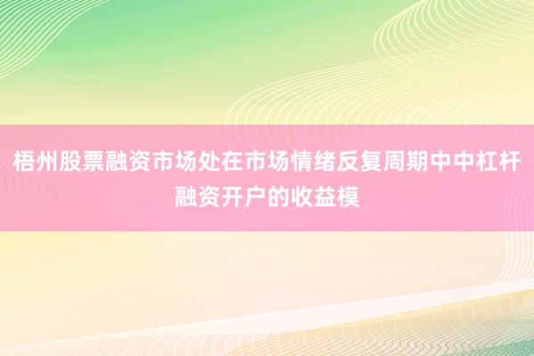 梧州股票融资市场处在市场情绪反复周期中中杠杆融资开户的收益模