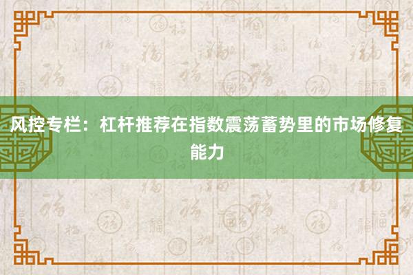风控专栏：杠杆推荐在指数震荡蓄势里的市场修复能力