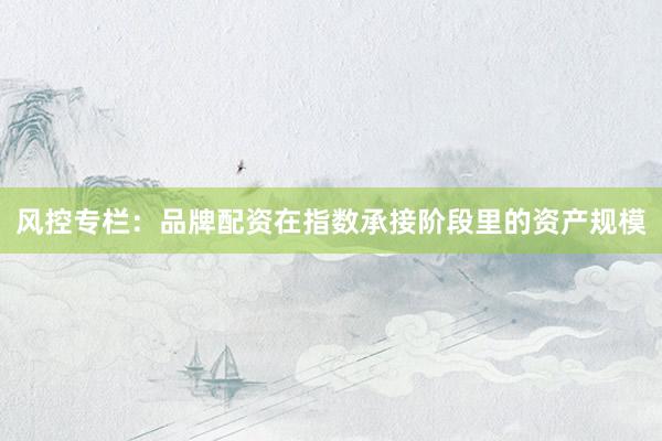 风控专栏：品牌配资在指数承接阶段里的资产规模