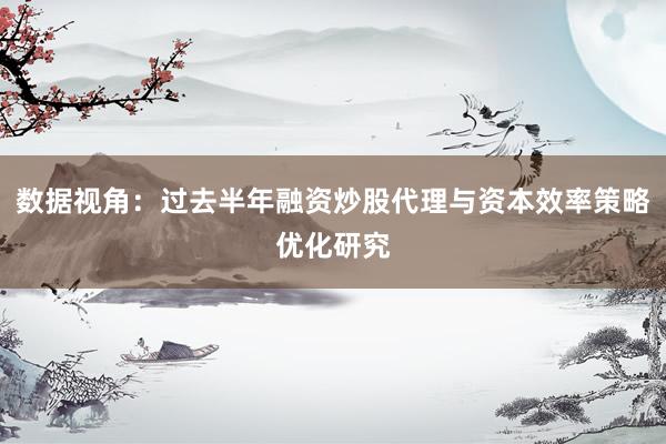 数据视角：过去半年融资炒股代理与资本效率策略优化研究
