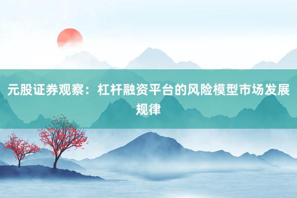 元股证券观察：杠杆融资平台的风险模型市场发展规律