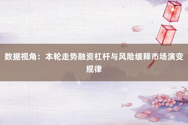 数据视角：本轮走势融资杠杆与风险缓释市场演变规律