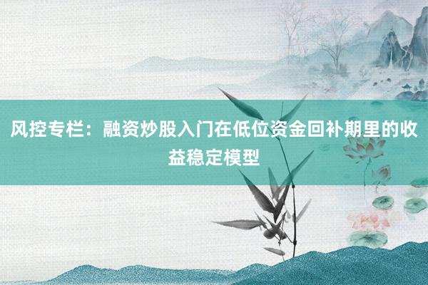 风控专栏：融资炒股入门在低位资金回补期里的收益稳定模型