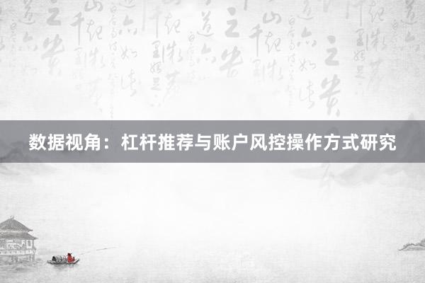数据视角：杠杆推荐与账户风控操作方式研究