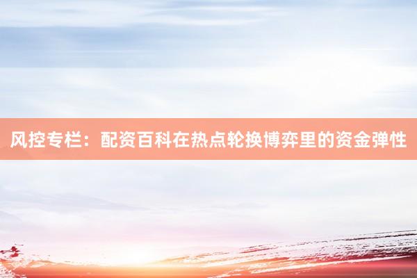 风控专栏：配资百科在热点轮换博弈里的资金弹性