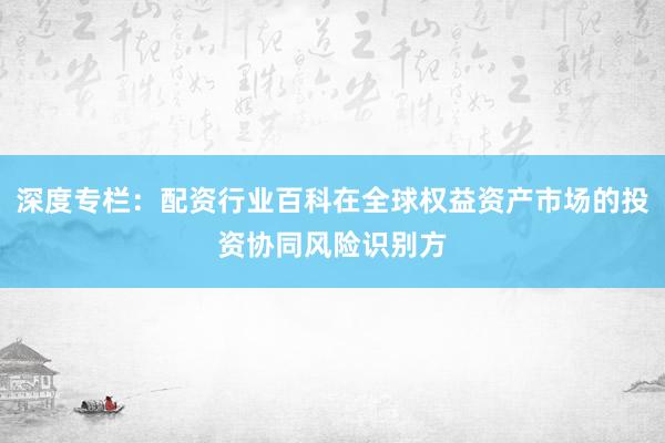 深度专栏：配资行业百科在全球权益资产市场的投资协同风险识别方