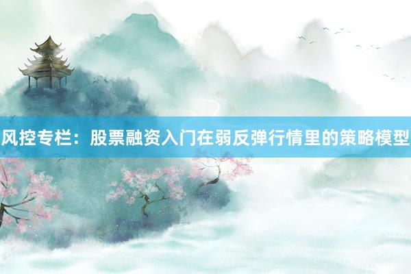 风控专栏：股票融资入门在弱反弹行情里的策略模型