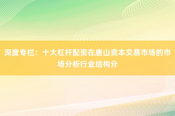 深度专栏：十大杠杆配资在唐山资本交易市场的市场分析行业结构分
