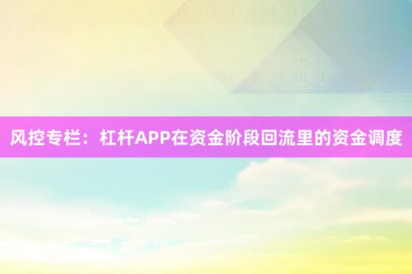 风控专栏：杠杆APP在资金阶段回流里的资金调度