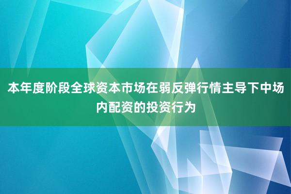 本年度阶段全球资本市场在弱反弹行情主导下中场内配资的投资行为