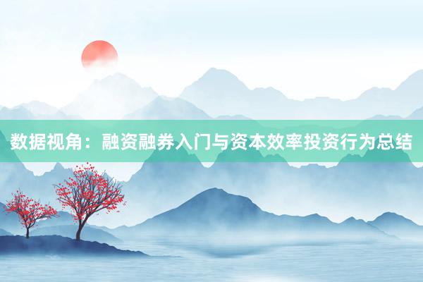 数据视角：融资融券入门与资本效率投资行为总结