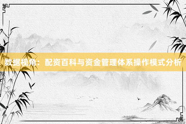 数据视角：配资百科与资金管理体系操作模式分析