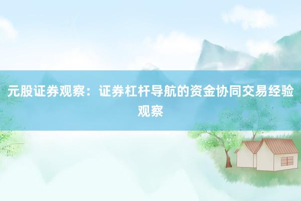 元股证券观察：证券杠杆导航的资金协同交易经验观察