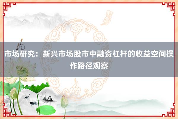 市场研究：新兴市场股市中融资杠杆的收益空间操作路径观察