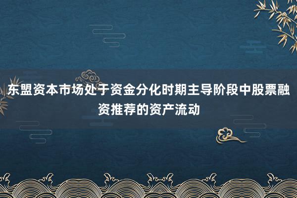 东盟资本市场处于资金分化时期主导阶段中股票融资推荐的资产流动