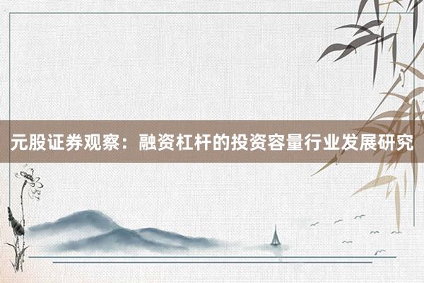 元股证券观察：融资杠杆的投资容量行业发展研究