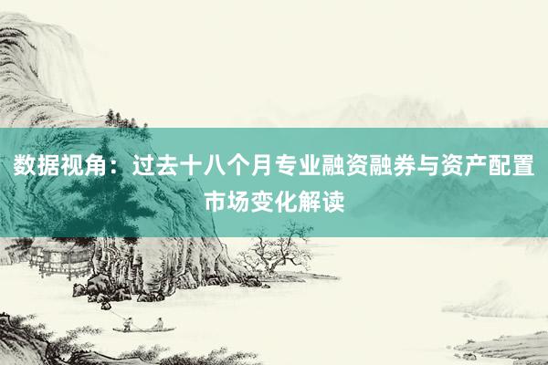 数据视角：过去十八个月专业融资融券与资产配置市场变化解读